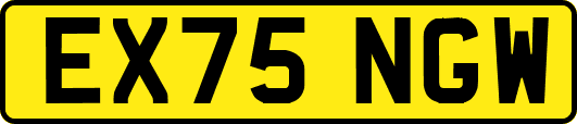 EX75NGW