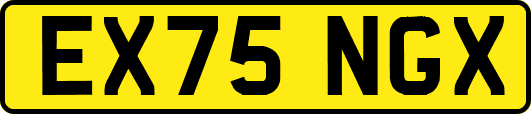 EX75NGX