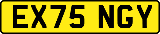 EX75NGY