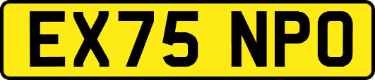 EX75NPO