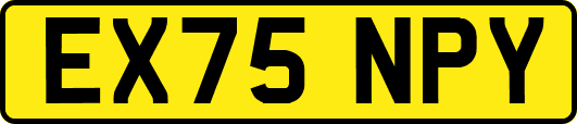 EX75NPY