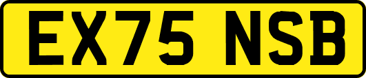 EX75NSB