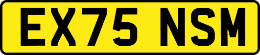EX75NSM