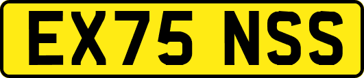 EX75NSS