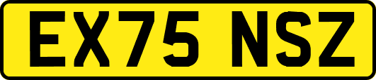 EX75NSZ
