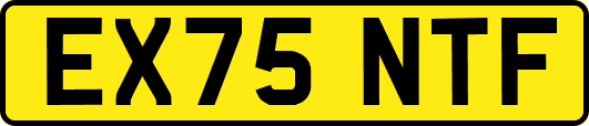 EX75NTF