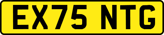 EX75NTG