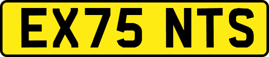 EX75NTS
