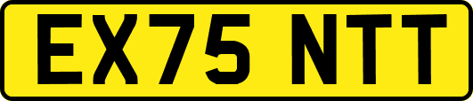 EX75NTT