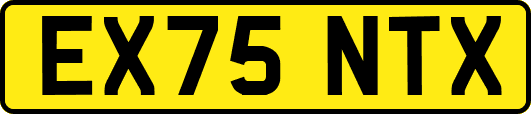 EX75NTX