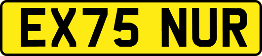EX75NUR