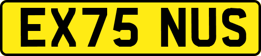 EX75NUS
