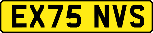EX75NVS