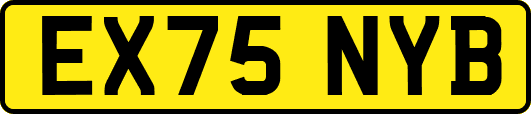 EX75NYB