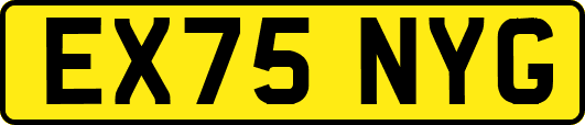 EX75NYG