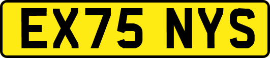 EX75NYS