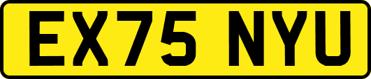 EX75NYU