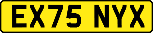 EX75NYX