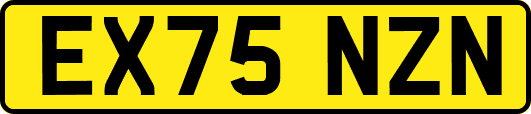 EX75NZN