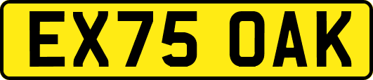 EX75OAK