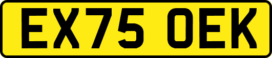 EX75OEK