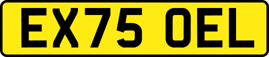 EX75OEL
