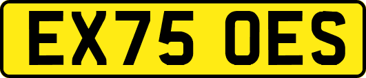 EX75OES