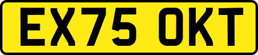 EX75OKT