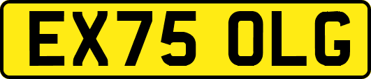 EX75OLG
