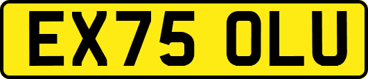 EX75OLU