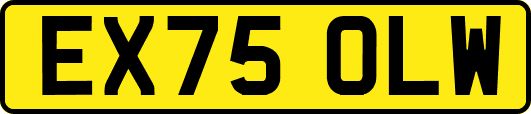 EX75OLW