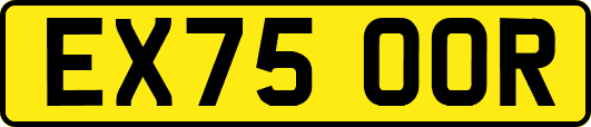 EX75OOR