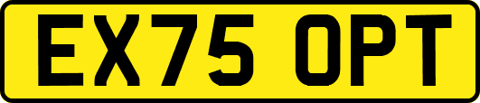 EX75OPT