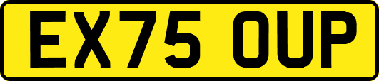 EX75OUP