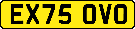 EX75OVO