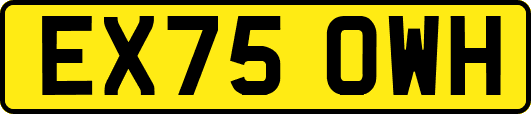 EX75OWH