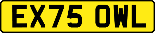 EX75OWL