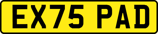 EX75PAD