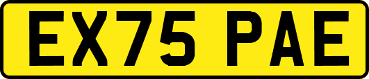 EX75PAE