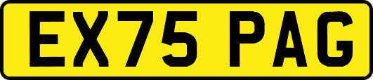 EX75PAG