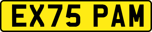 EX75PAM