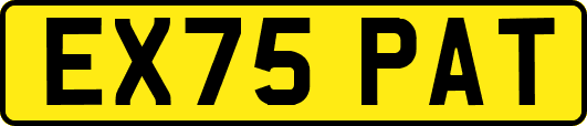 EX75PAT
