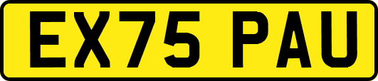 EX75PAU
