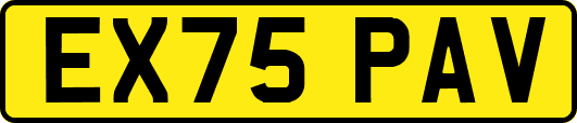 EX75PAV