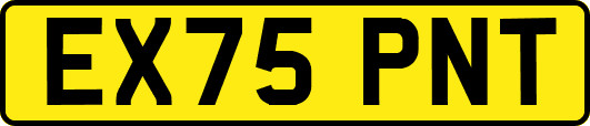 EX75PNT