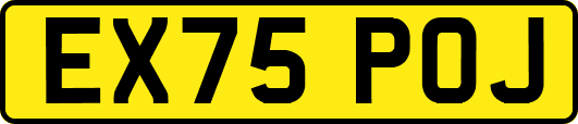 EX75POJ