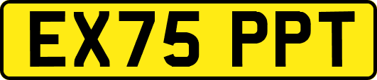 EX75PPT