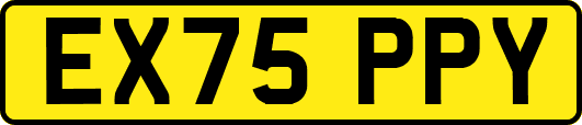 EX75PPY