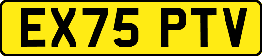 EX75PTV