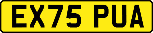 EX75PUA